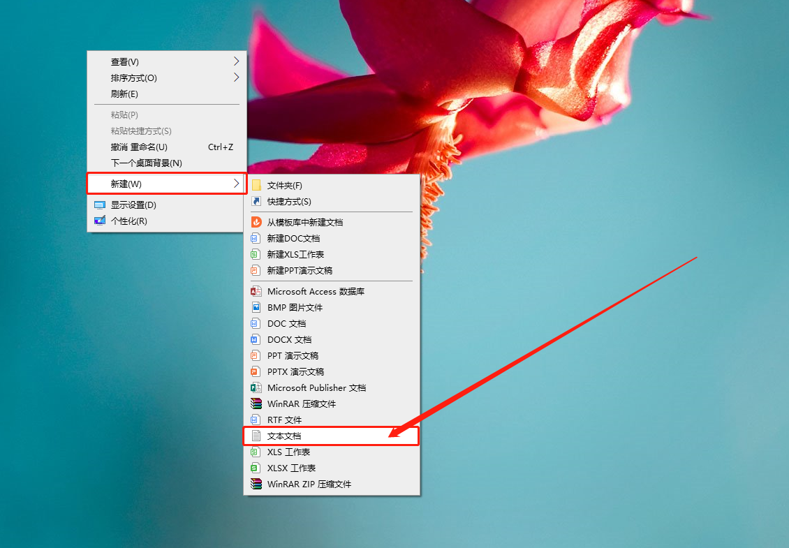 “新建”/“文本文档”